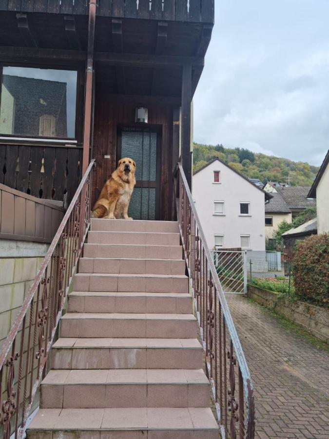 Main Zu Hause Villa Eichenbuhl  Exteriör bild
