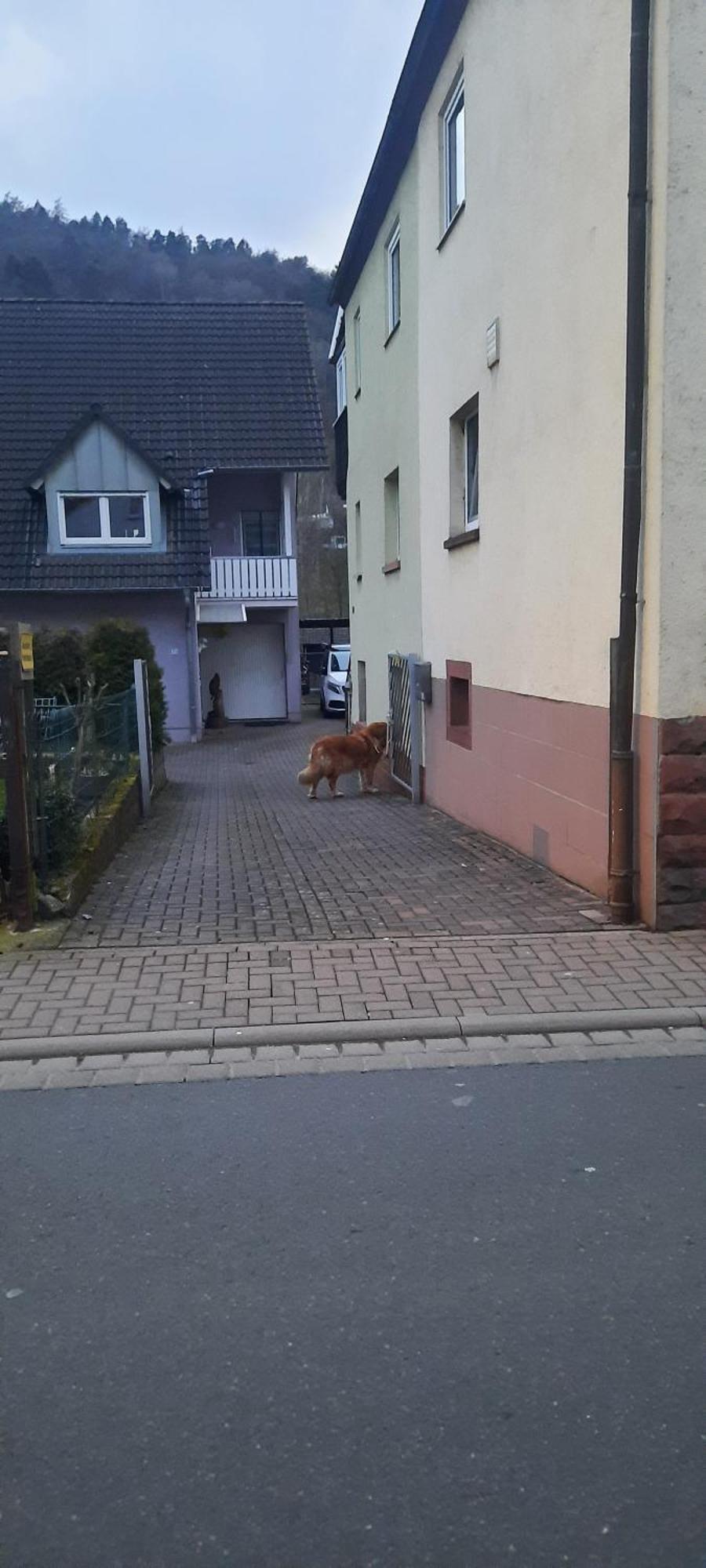 Main Zu Hause Villa Eichenbuhl  Exteriör bild